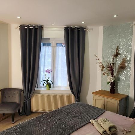 Mirka & Franck Apartment Chic 4 Stars Parking Free 科尔马 外观 照片