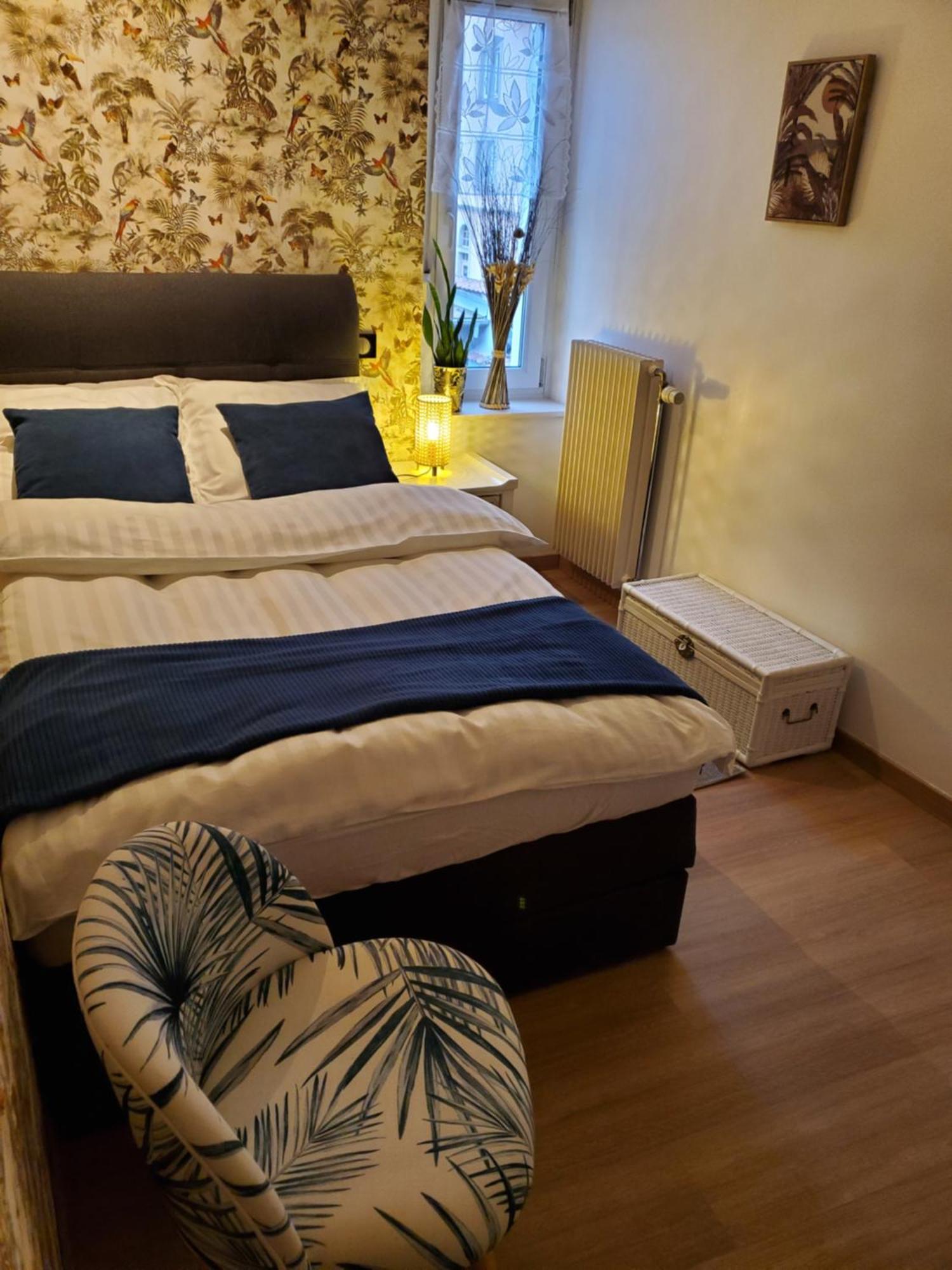 Mirka & Franck Apartment Chic 4 Stars Parking Free 科尔马 外观 照片