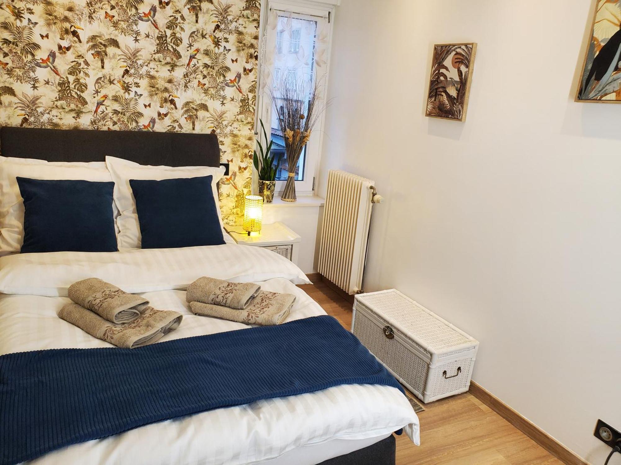 Mirka & Franck Apartment Chic 4 Stars Parking Free 科尔马 外观 照片