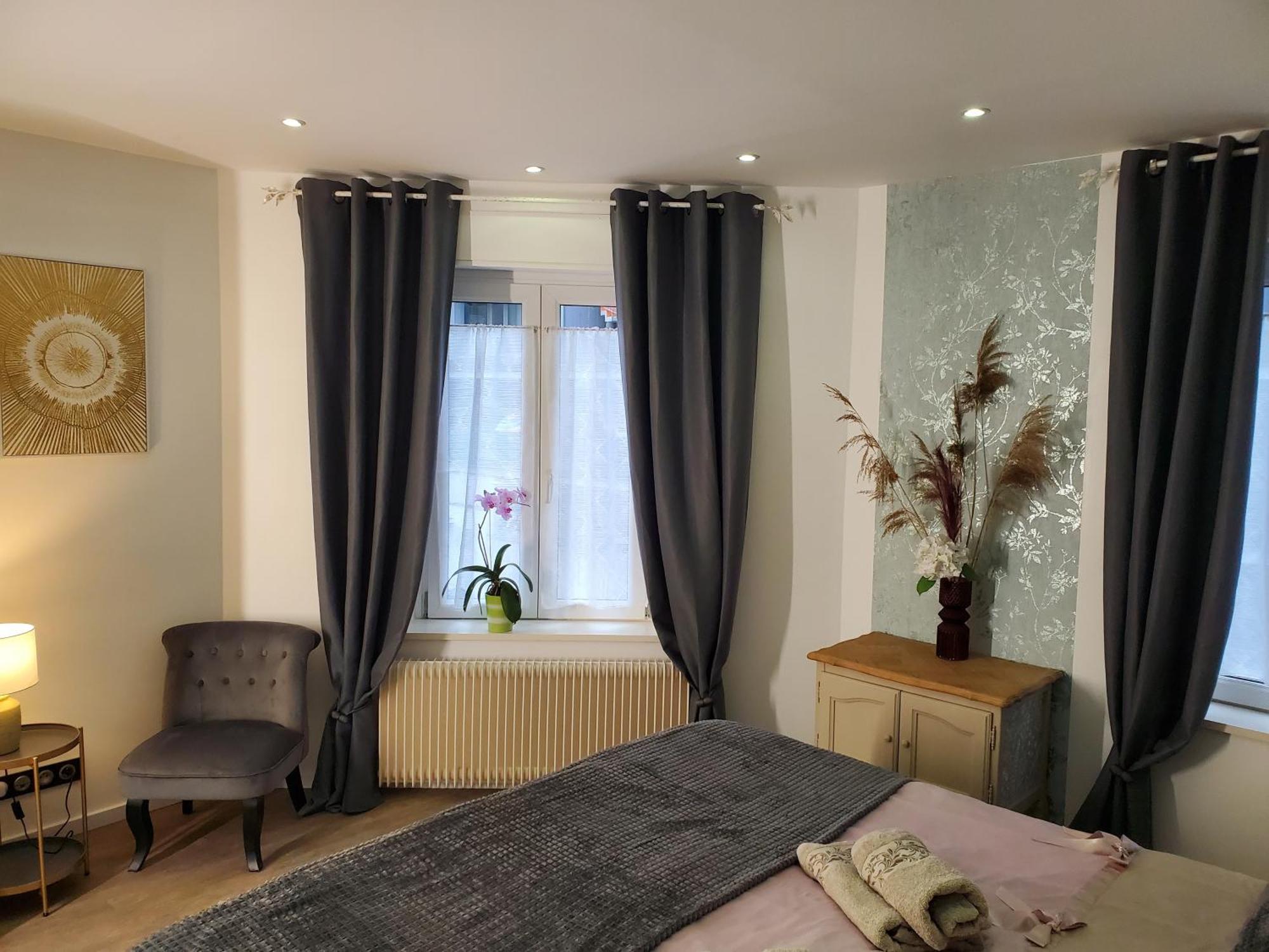 Mirka & Franck Apartment Chic 4 Stars Parking Free 科尔马 外观 照片